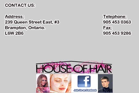 239, Queen Street East, #3 Brampton. L6W 2B6